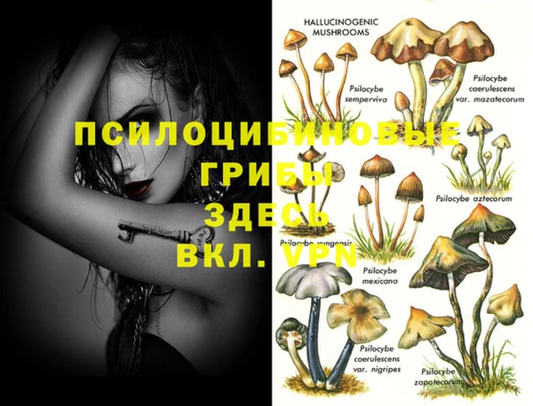 винт Беломорск