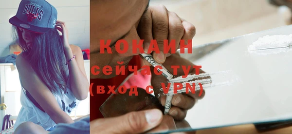 ECSTASY Белокуриха
