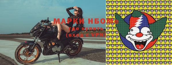 ECSTASY Белокуриха