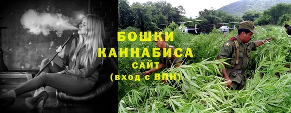 ECSTASY Белокуриха