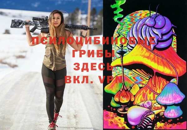 PSILOCYBIN Белоозёрский