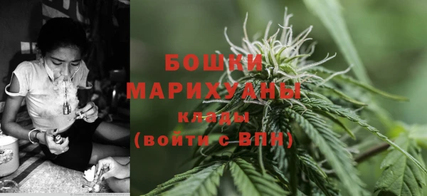 ECSTASY Белокуриха